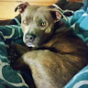 Meet your Posher, Debra